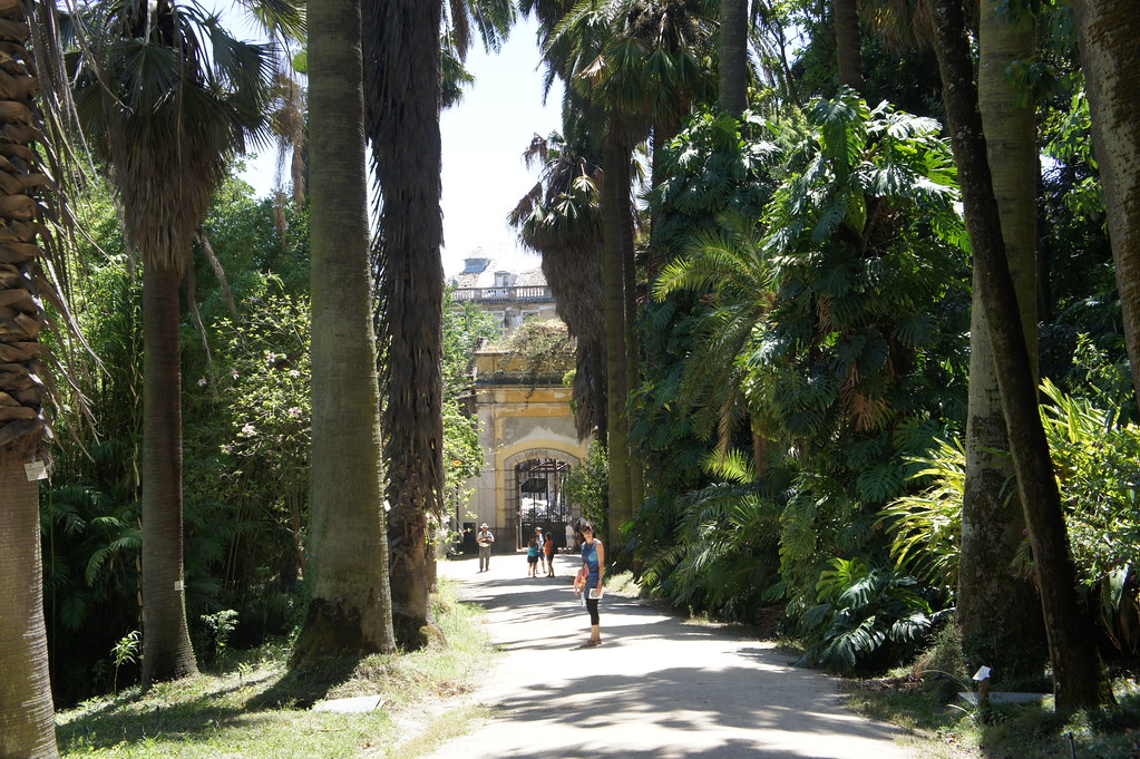 Principe Real: What to Do, Stay, Eat, and More 4 Lisbon-Botanical-Garden