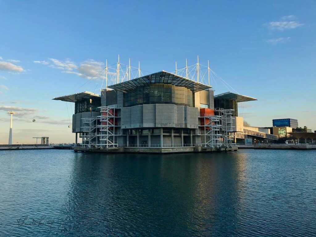 lisbon Oceanarium