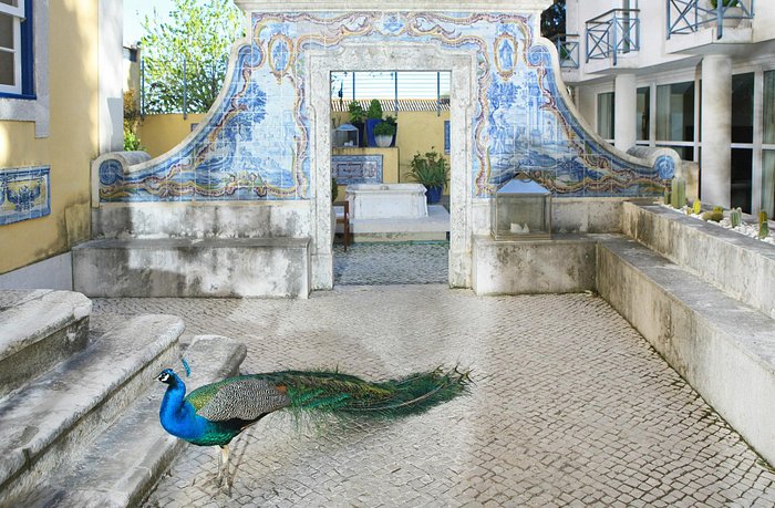 10 Best Hotels In Alfama Lisbon: Full Guide 4 solar-do-castelo