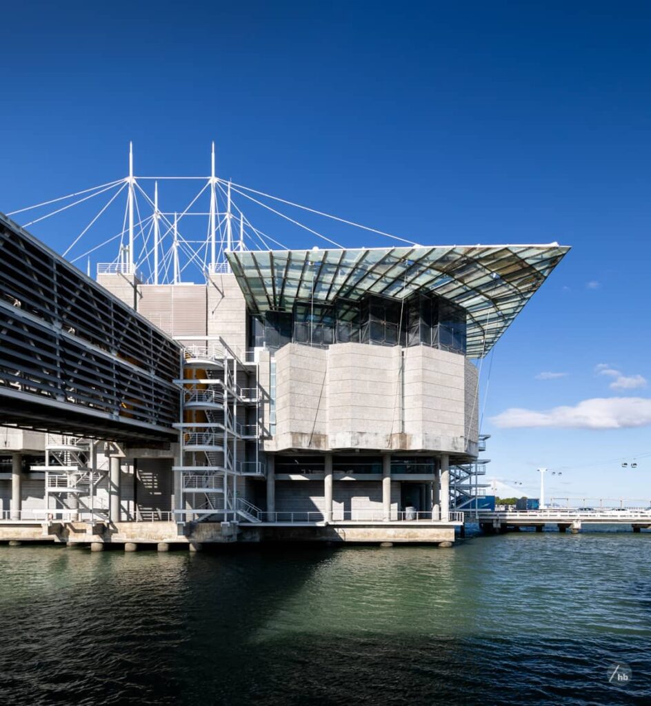 Lisbon in October: 8 Things to Do And What to Pack 3 lisbon oceanarium