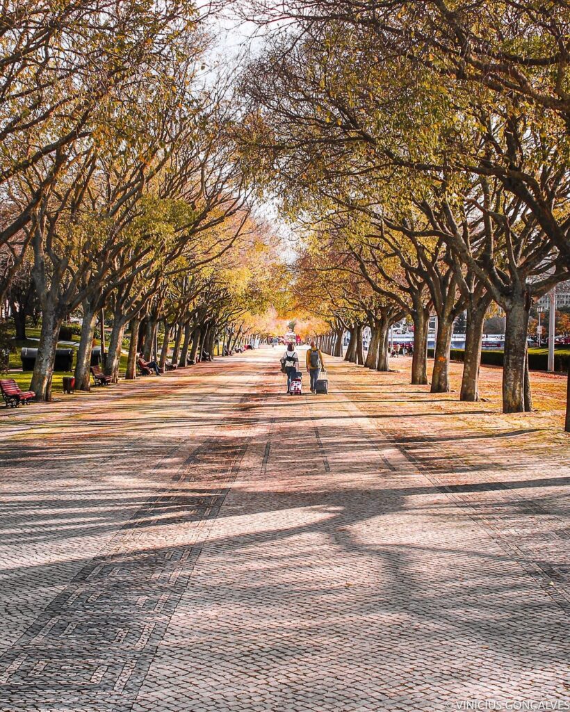 Fall In Lisbon: The Perfect Season To Visit 5 lisbon parque vii fall