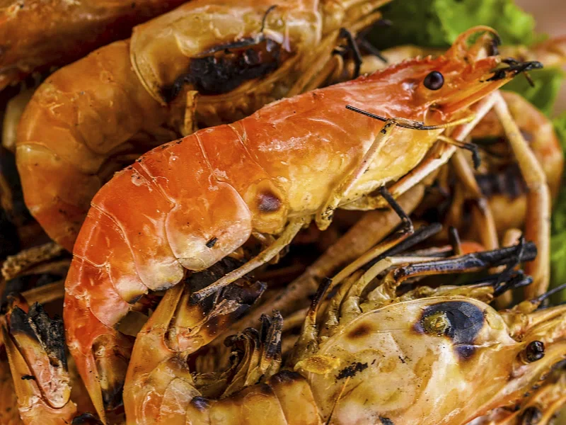 Solo Dining Lisbon: Best Places To Eat Alone 11 tiger-prawns