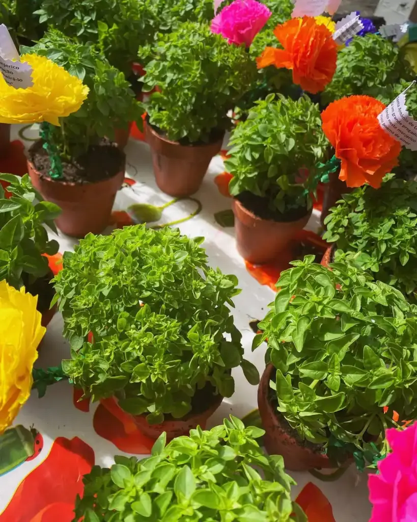 St Anthony Festival Lisbon: 4 Best Events and Traditions 5 Vibrant potted flowers including marigolds and pink blooms on a bright table, showcasing Lisbon's lively garden and floral culture, perfect for colorful city life photography.