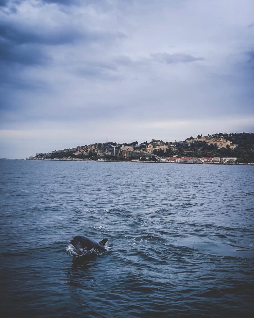 Lisbon in April: The Perfect Time To Visit 9 Scenic view of Lisbon's coastline with the Tagus River and cityscape under a cloudy sky, perfect for spring visits.