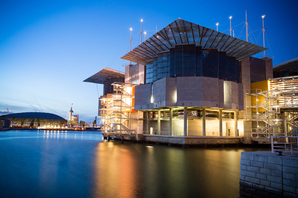 Visiting Lisbon With Kids: What to Do and Visit 22 lisbon oceanarium