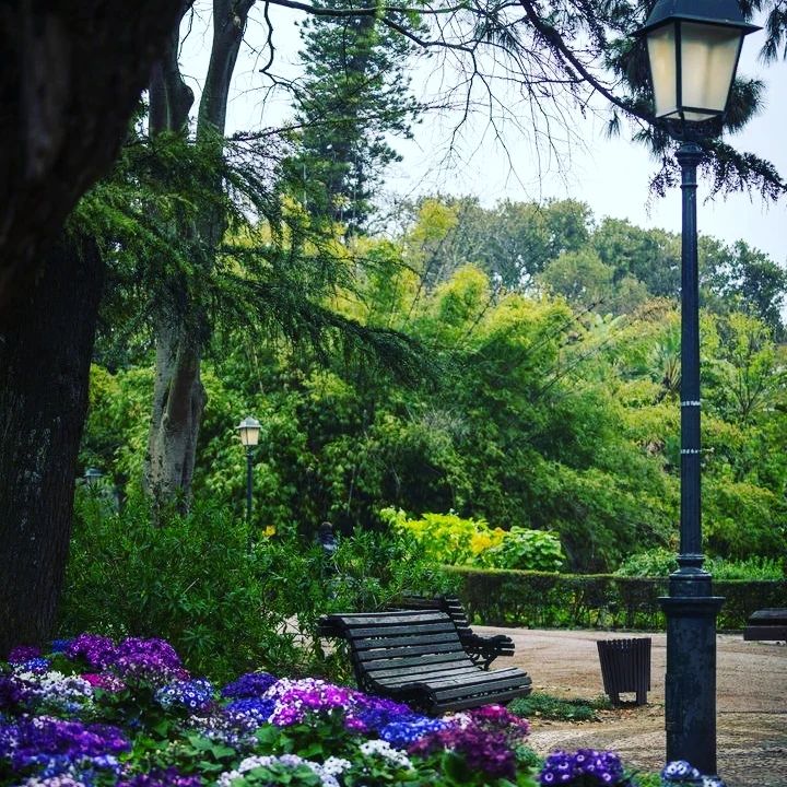 Lisbon in May - Less Crowded? (Perfect Time To Visit) 8 Beautiful Lisbon park with lush greenery, blooming flowers, and vintage street lamps, perfect for a peaceful stroll during May when the city is less crowded.