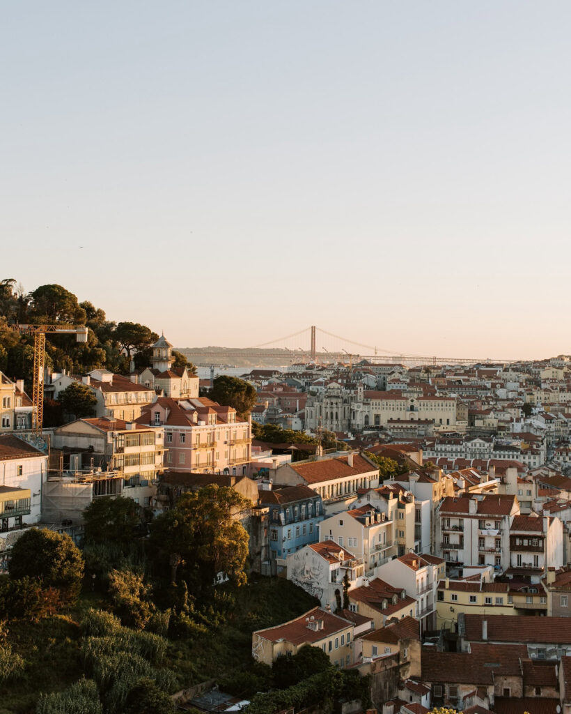 Lisbon in May - Less Crowded? (Perfect Time To Visit) 12 Scenic view of Lisbon with historic buildings, a tall palm tree, and vibrant purple flowers, capturing the city's charm during a less crowded May visit.