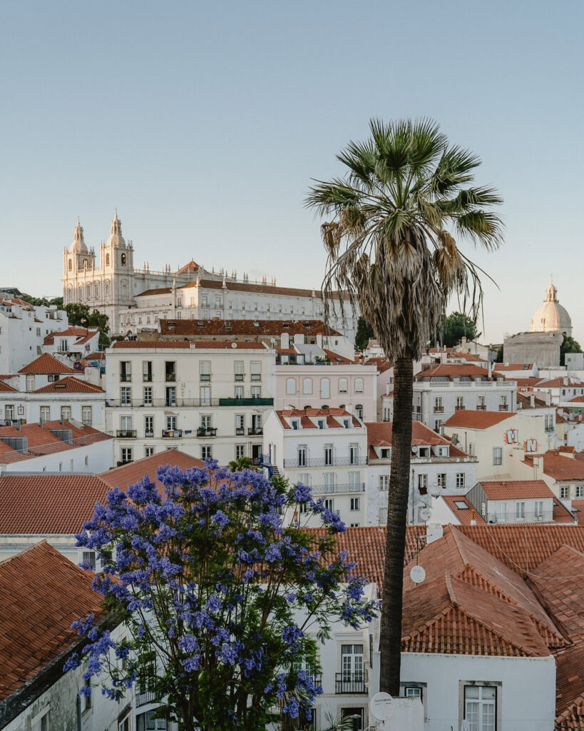 Scenic view of Lisbon with historic buildings, a tall palm tree, and vibrant purple flowers, capturing the city's charm during a less crowded May visit.