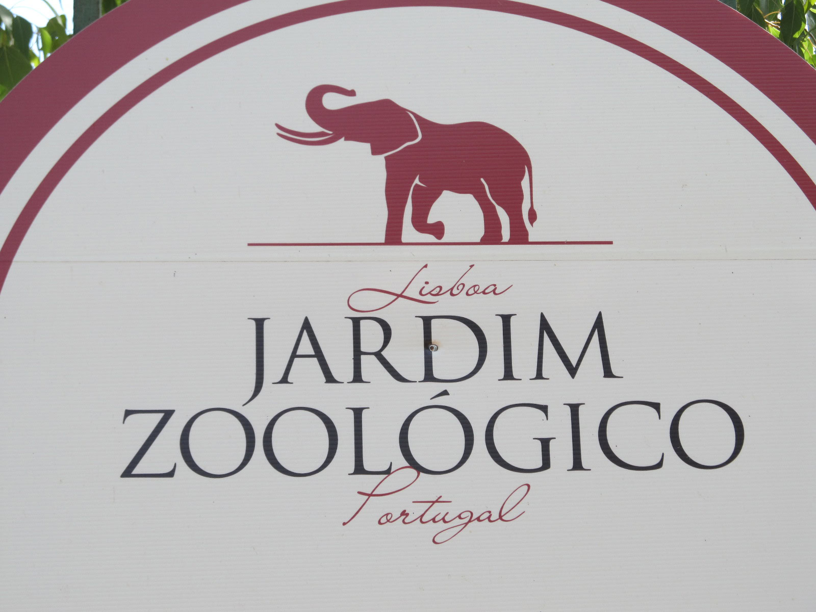Lisbon Zoo Full Guide 1 Lisbon Zoo