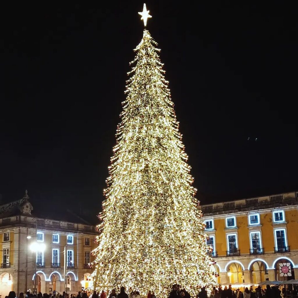 Lisbon in December: 10 Things To Do In This Magical Time 3 lisbon christmas tree