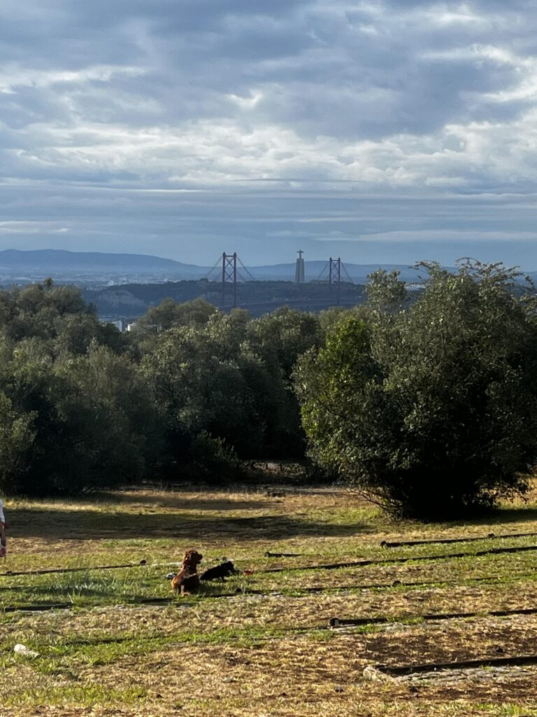 Visiting Lisbon With Kids: What to Do and Visit 9 Monsanto_Forest_Park