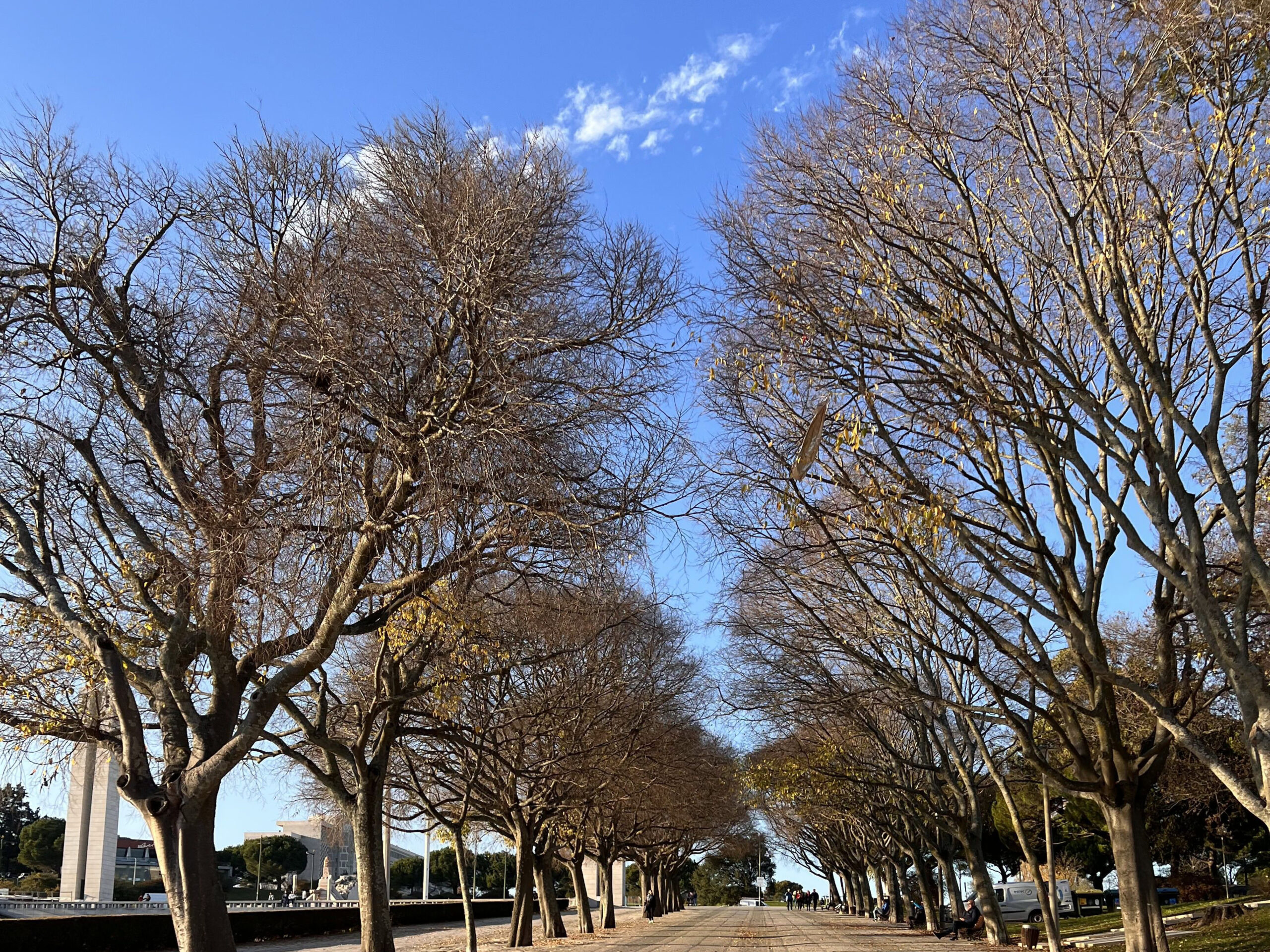 13 Best Picnic Places in Lisbon: Family & Couple-Friendly 4 Parque_Eduardo_VII_winter