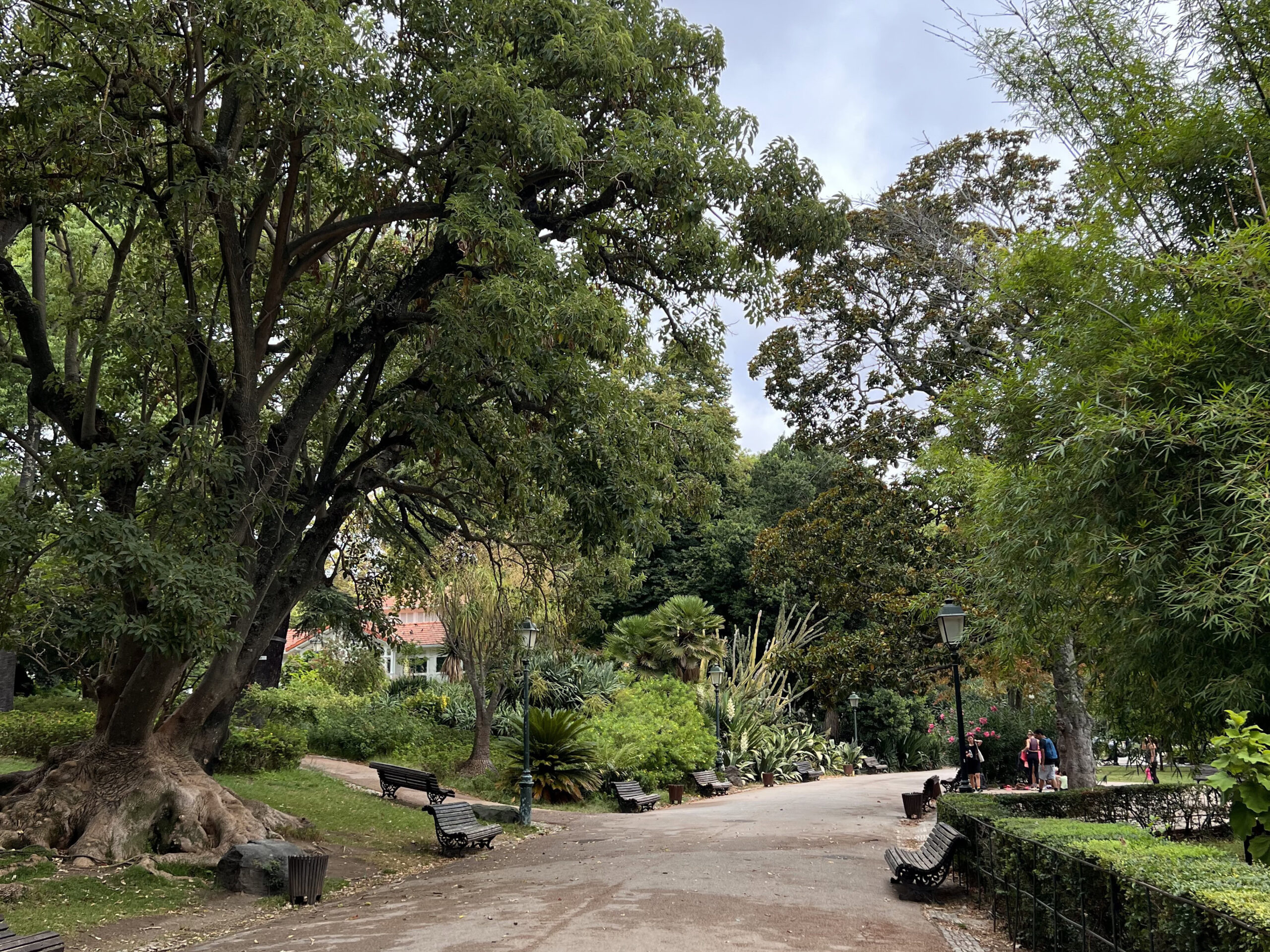 13 Best Picnic Places in Lisbon: Family & Couple-Friendly 3 jardim-estrela