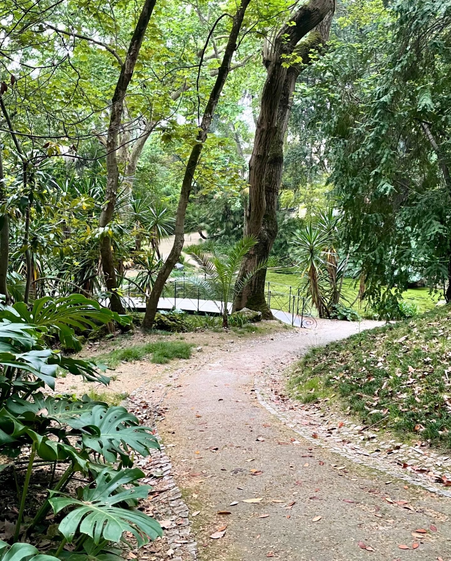 Lisbon Botanical Garden (Jardim Botânico): Insider Tips 5 Lisbon Botanical Garden